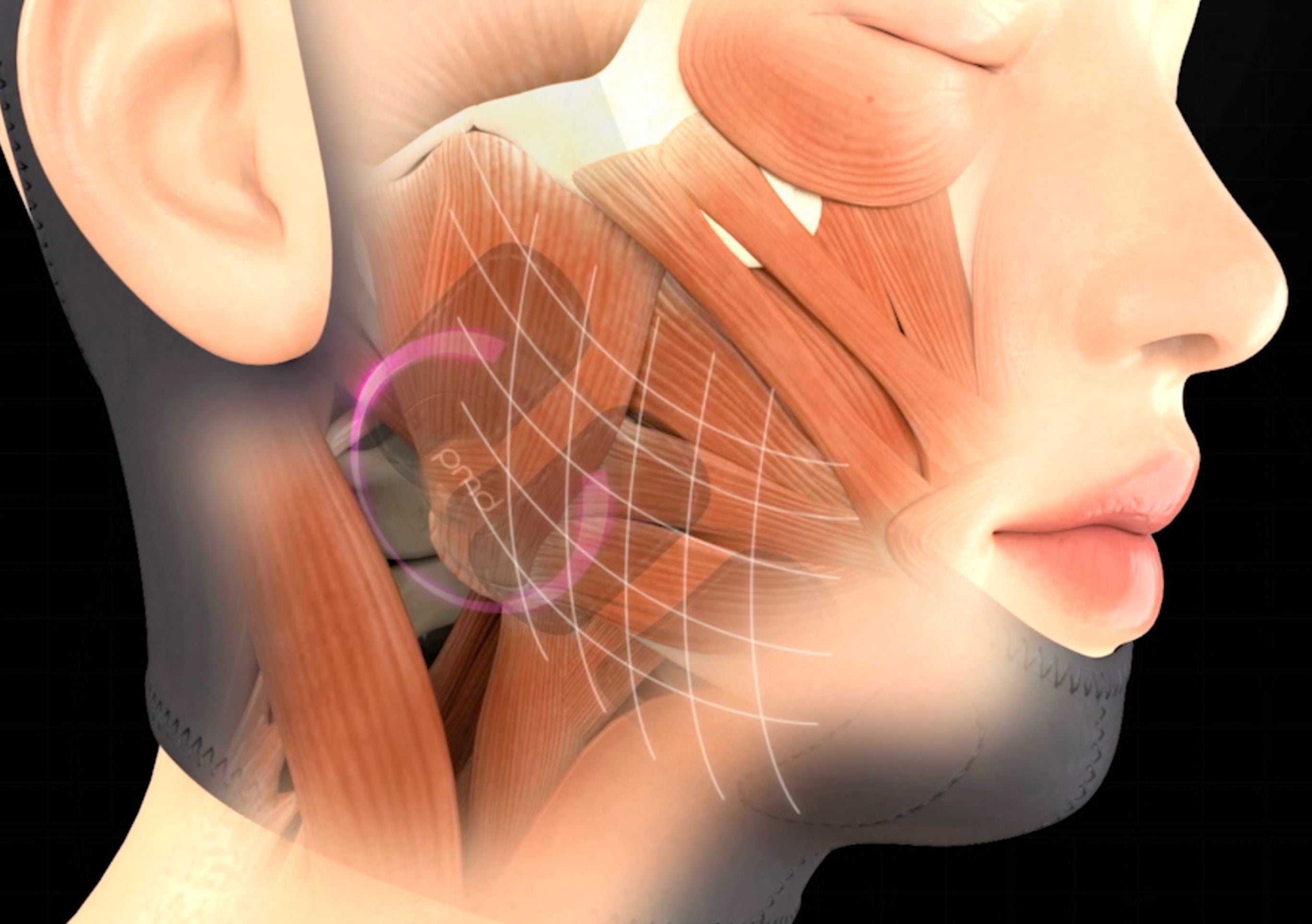 韓国で完売続出！最新EMS美顔器「pmd SMAS フルフェイス ビューティー